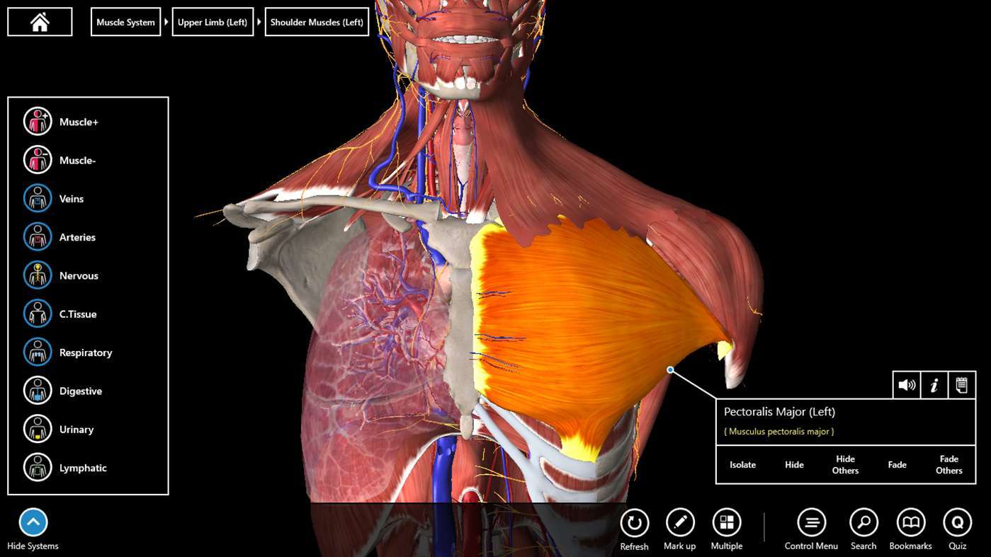 3d human anatomy and physiology software free download