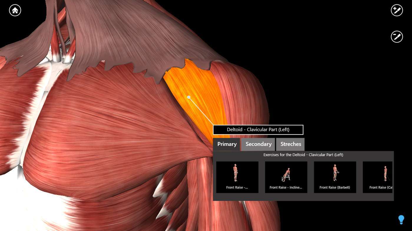 Futuristic Best 3D Anatomy Software for Gamers