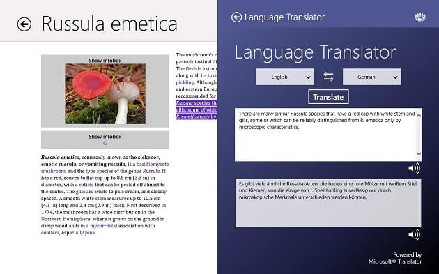 translate app in windows 8