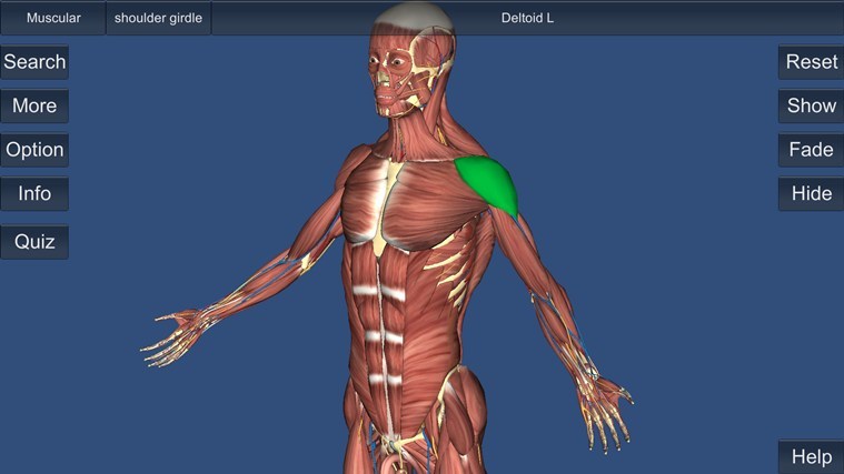 anatomy app windows 8