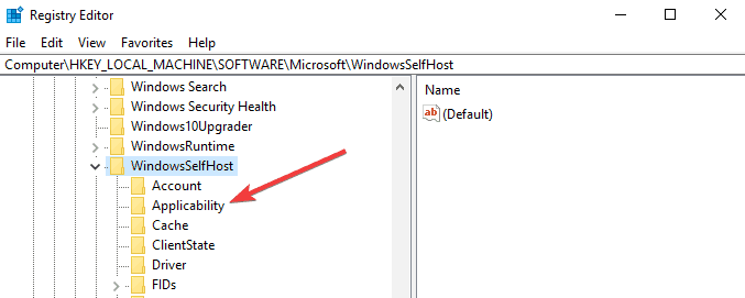 WindowsSelfHost applicability