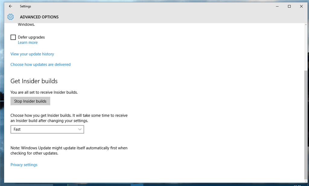 windows insider build not showing up