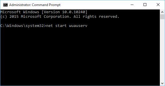 command-prompt-reset-windows-update-3
