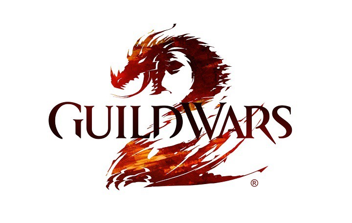 Guild Wars 2 Download Stops