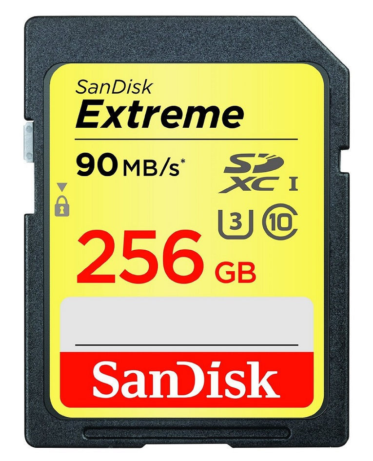 SanDisk 128GB Ultra UHS-I Class 10 SDXC Memory Card Black Standard Packaging SDSDUNC-128G-GN6IN 