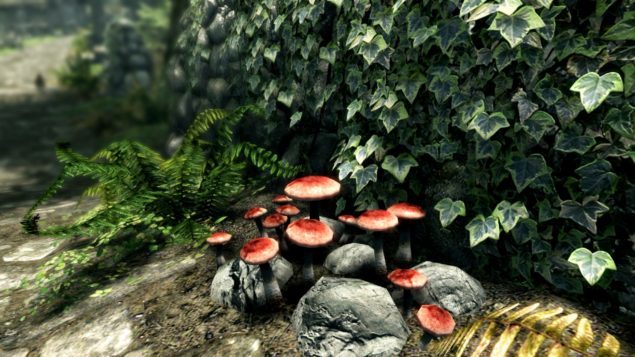 Elder Scrolls V Skyrim Special Edition mushroom