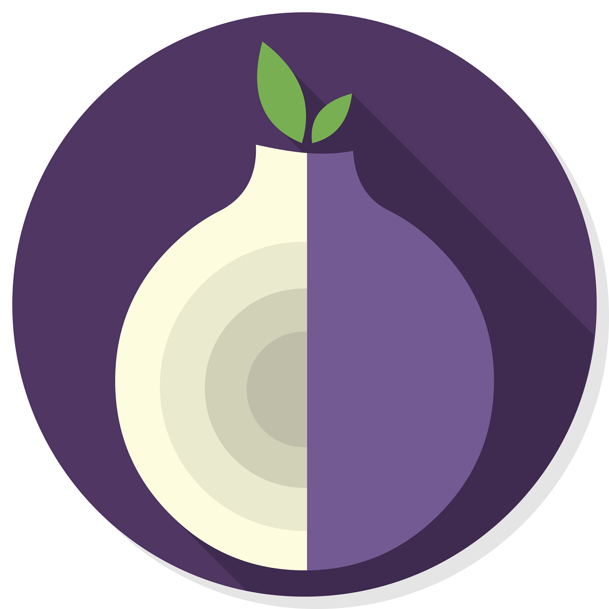 tor network browser