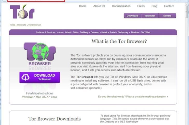 tor browser for windows 10 download