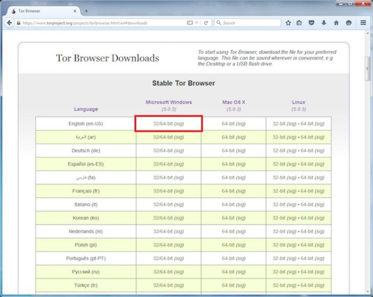Tor web browser for windows hyrda как установить тор браузер в линукс минт попасть на гидру