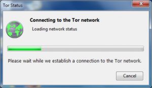 how to use tor browser correctly