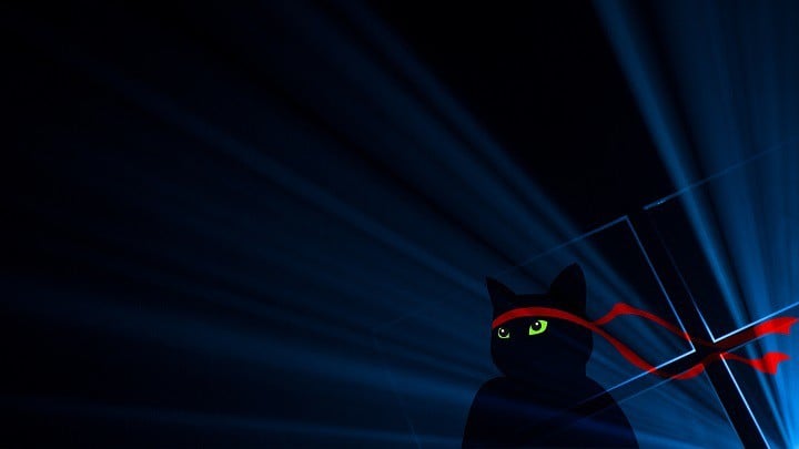 Download Ninja Cat Wallpaper for Windows 10 Anniversary Update