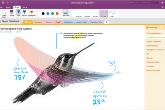 import evernote to onenote windows 10