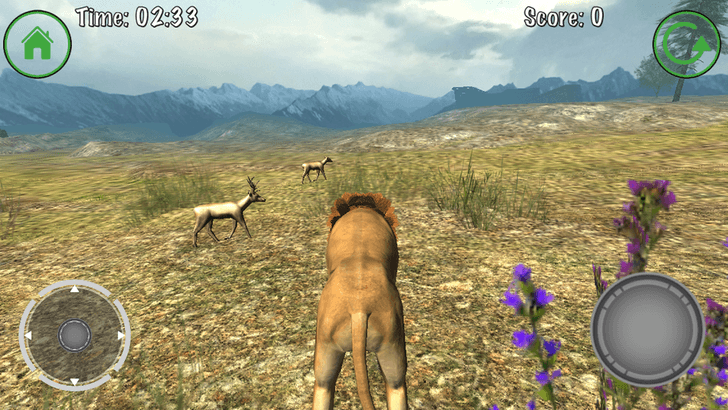 online_hunting_games_wild_life_lion