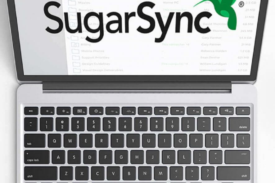 solve SugarSync quits unexpectedly on Windows 10