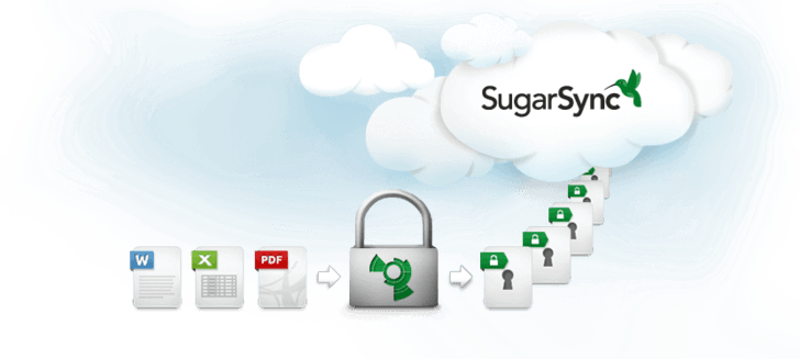SugarSync quits unexpectedly