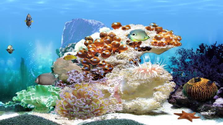 Amazing 3D Aquarium