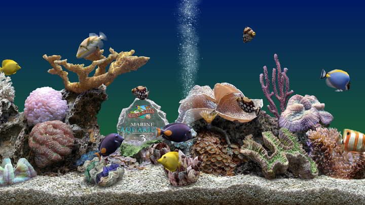 virtual aquarium online game realistic