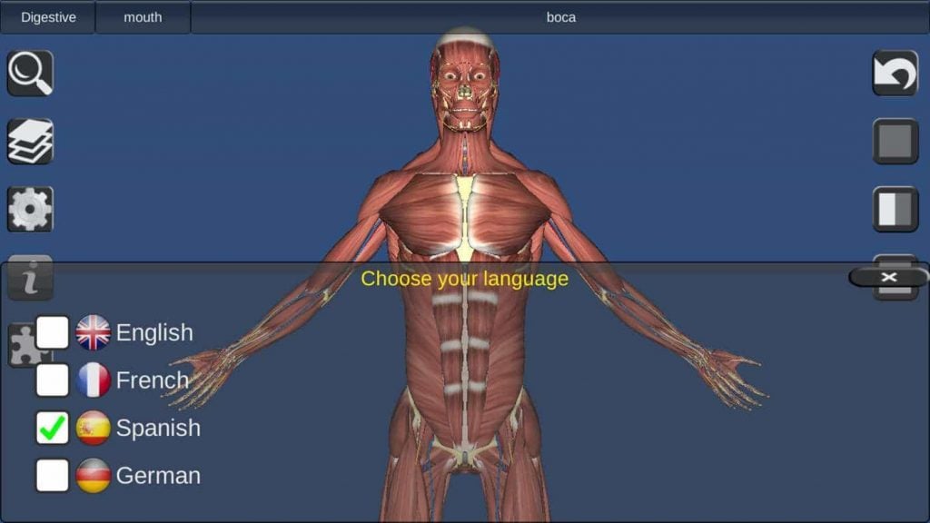 5 best 3D anatomy software for Windows