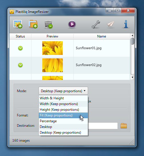 for windows download Light Image Resizer 6.1.8.0