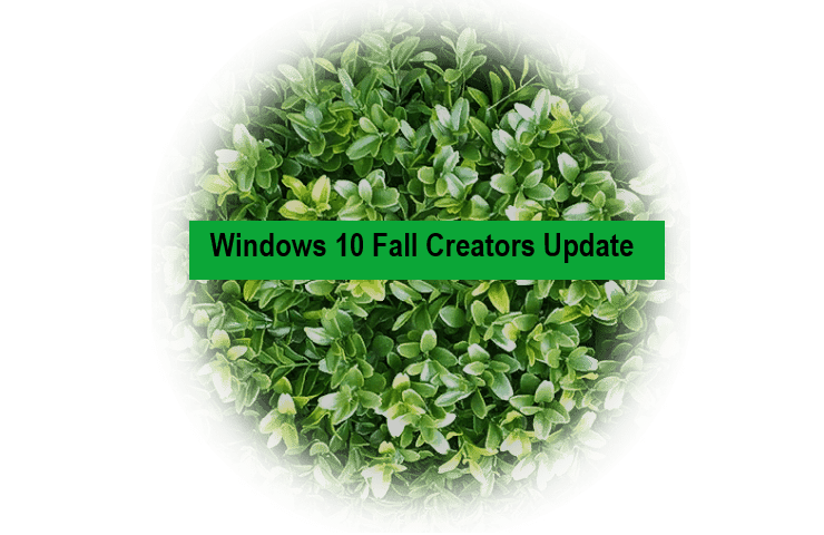 install Windows 10 Fall Creators Update