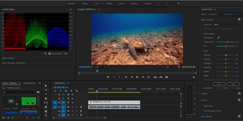 try out Adobe Premiere Pro