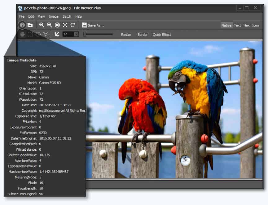 open view, edit and convert TGA files with Fileviewer Plus 2