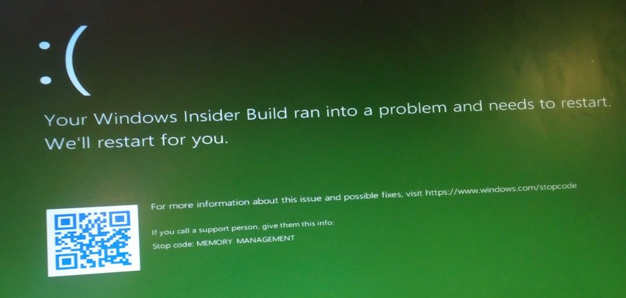windows 10 build GSOD error