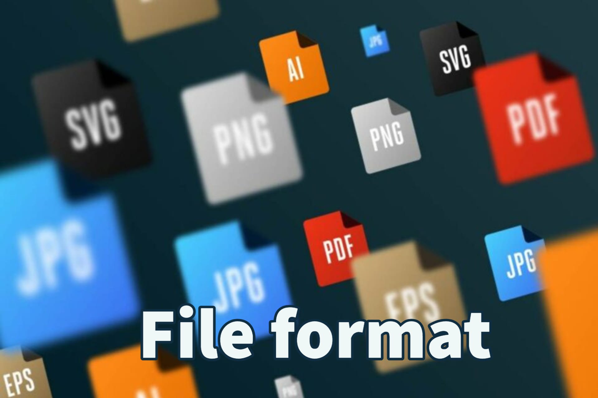 file format entity