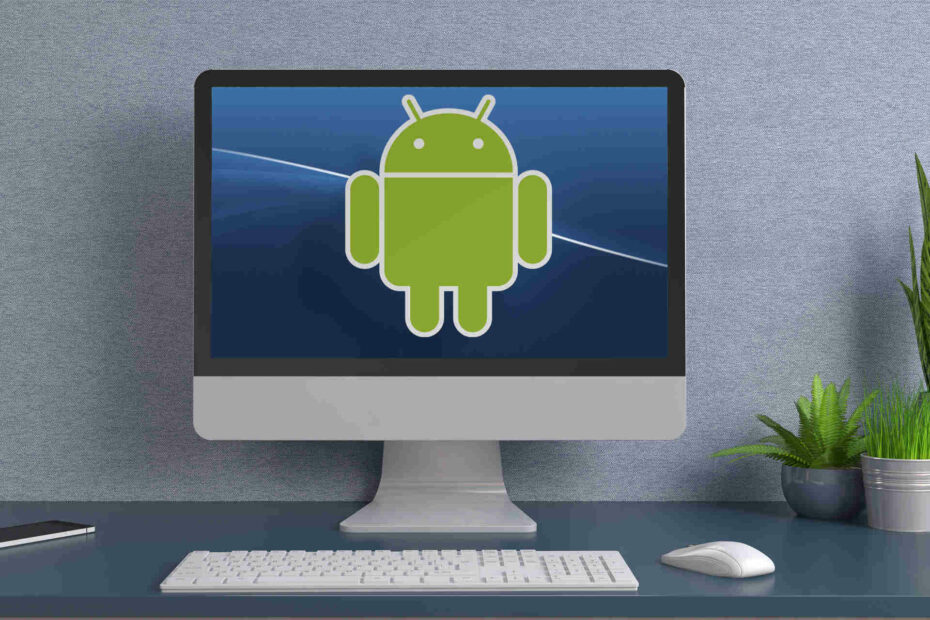 Android Emulator No Internet Connection Mac