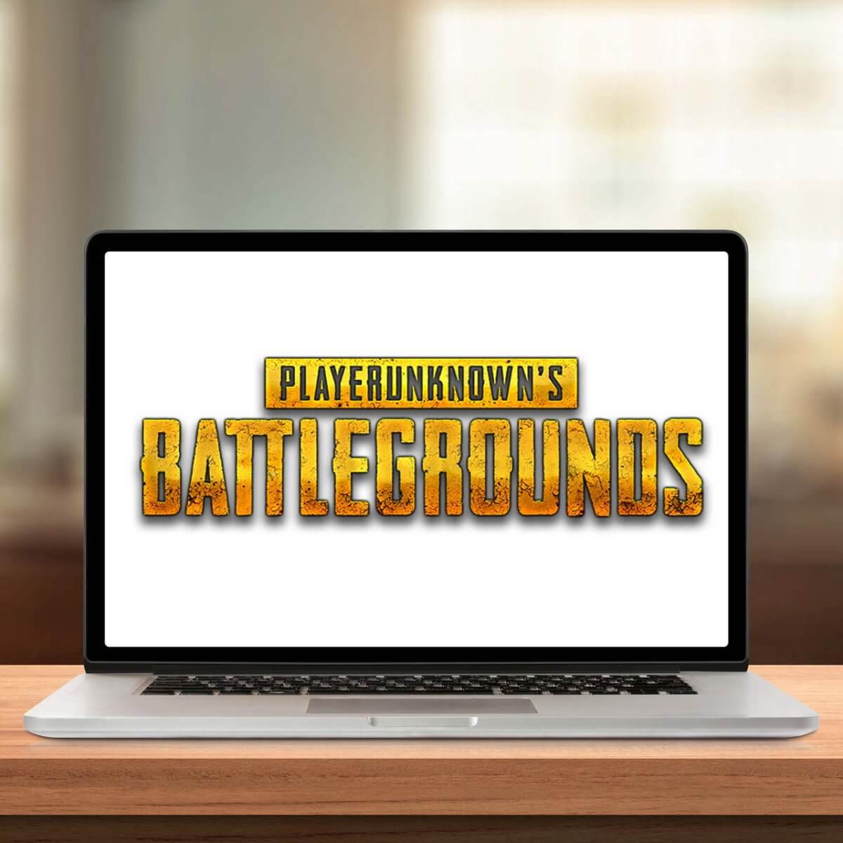 change properties on steam for player unknow battle ground to play it mac