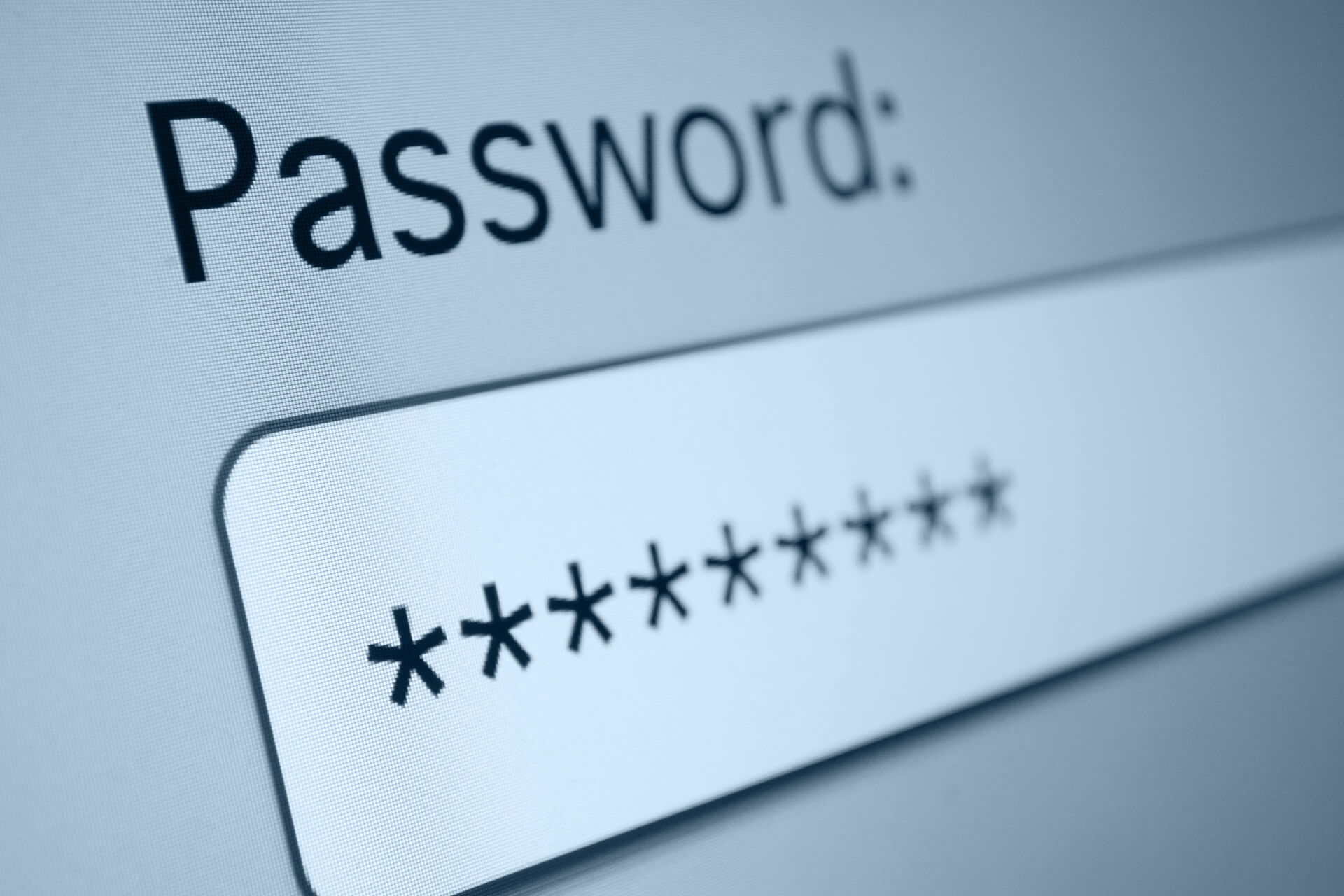 password-protection software