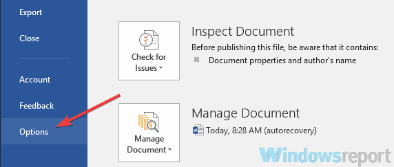 open word 2019 in safe mode