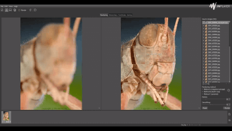 7 Best Focus Stacking Software & Solutions for Stunning Images