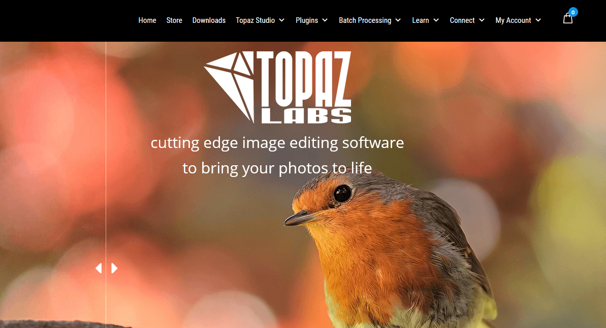Topaz Studio best photo software for fujifilm