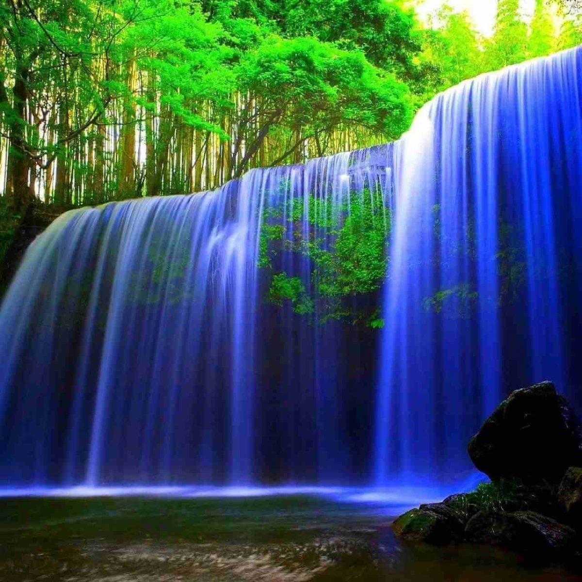 Waterfall in Green Forest Live WallpaperAmazoncomAppstore for Android