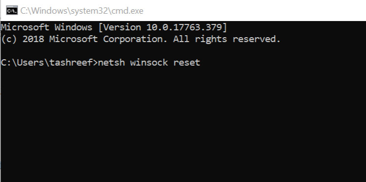 Reset Network Adapter Winsock Conflict software detected