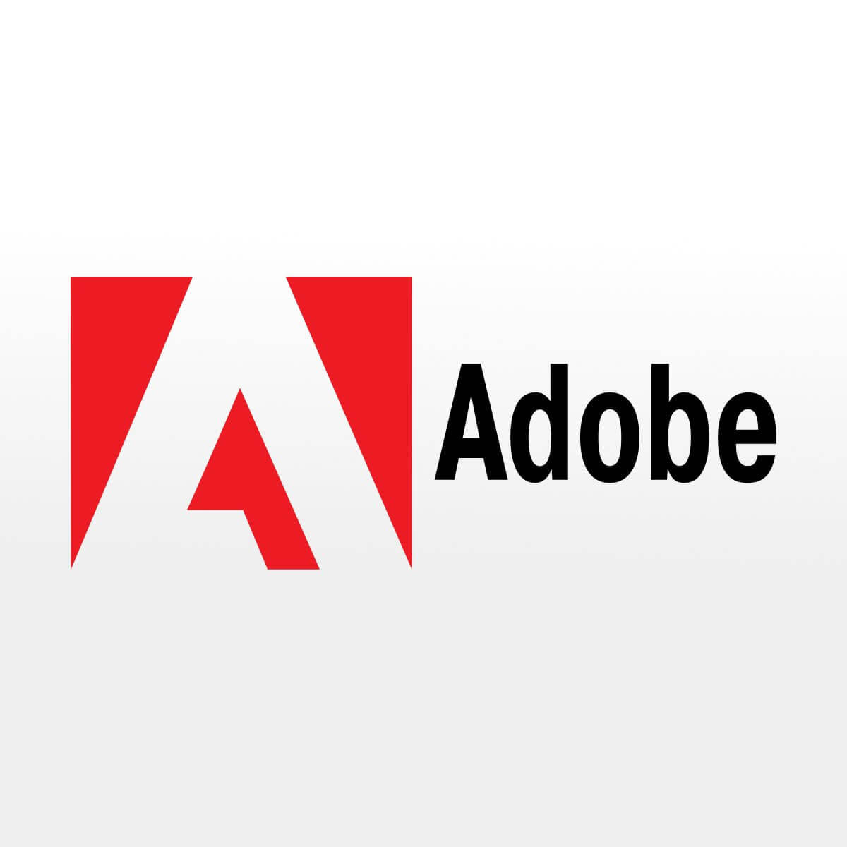 There was a problem connecting to Adobe online