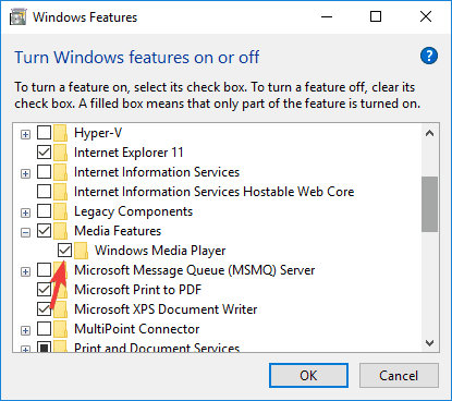 windows features Windows Media Player doesn't show video only audio