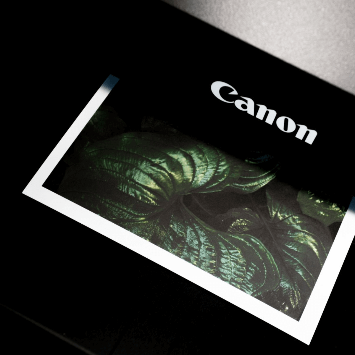 printer canon cover
