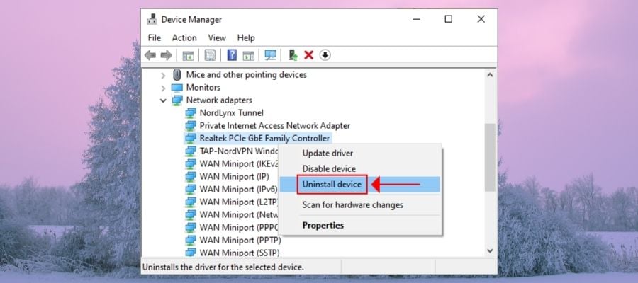 unintall a device using Device Manager