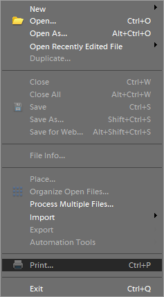 File menu Adobe Photoshop could not print because of a "program error"