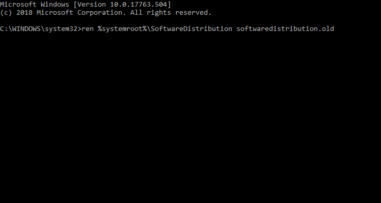 The ren command windows 10 error 0x8007000e