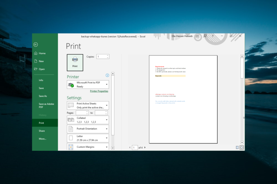 excel not printing