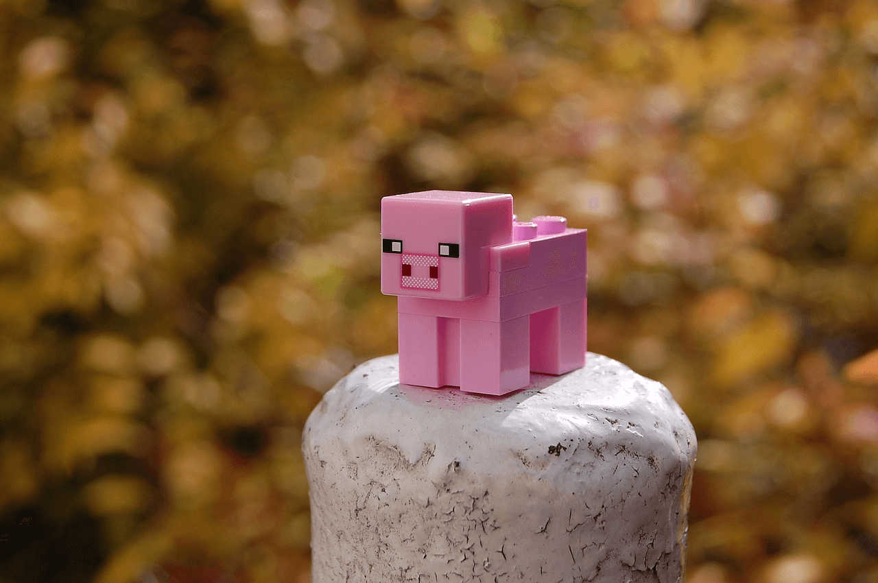 minecraft pig - you don't have permission to build here minecraft