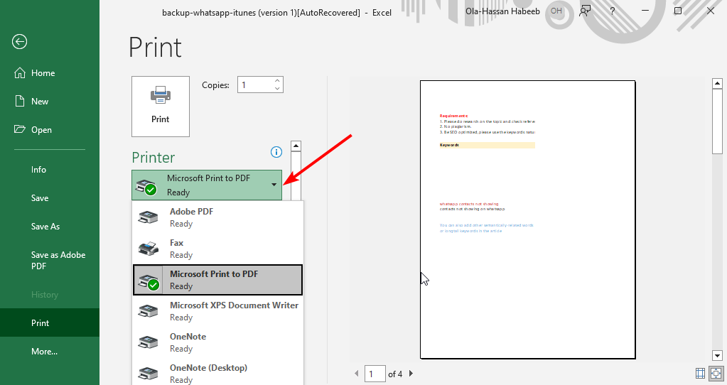 printer excel not printing