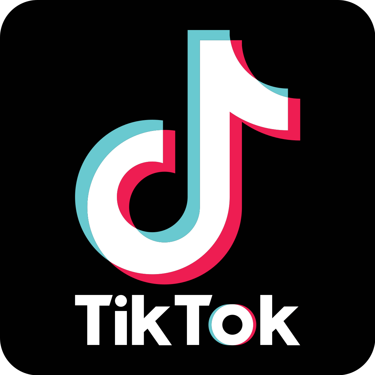 tiktok app install free download