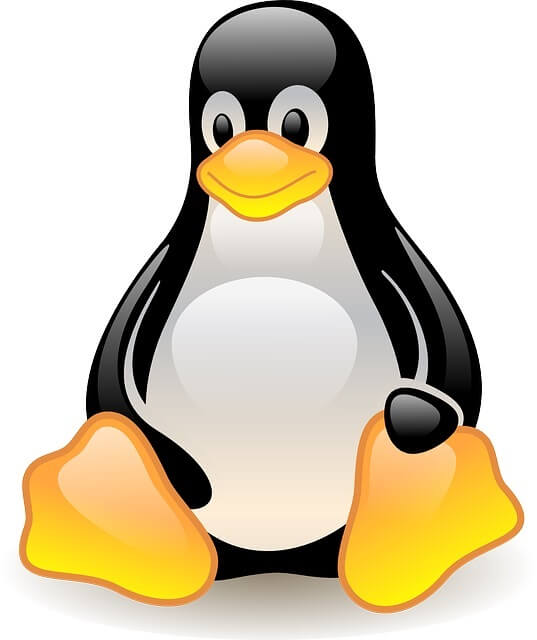 Linux penguin - Turn Xbox into PC