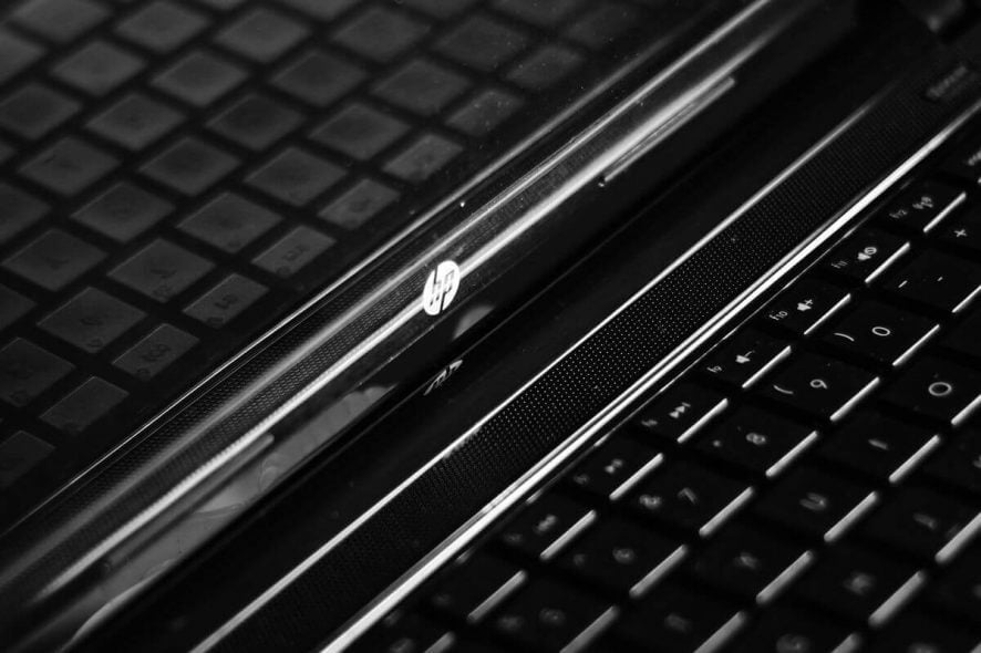 WerFault.exe windows 10 - HP laptop close-up