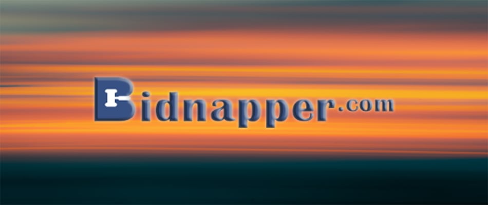 try out BidNapper