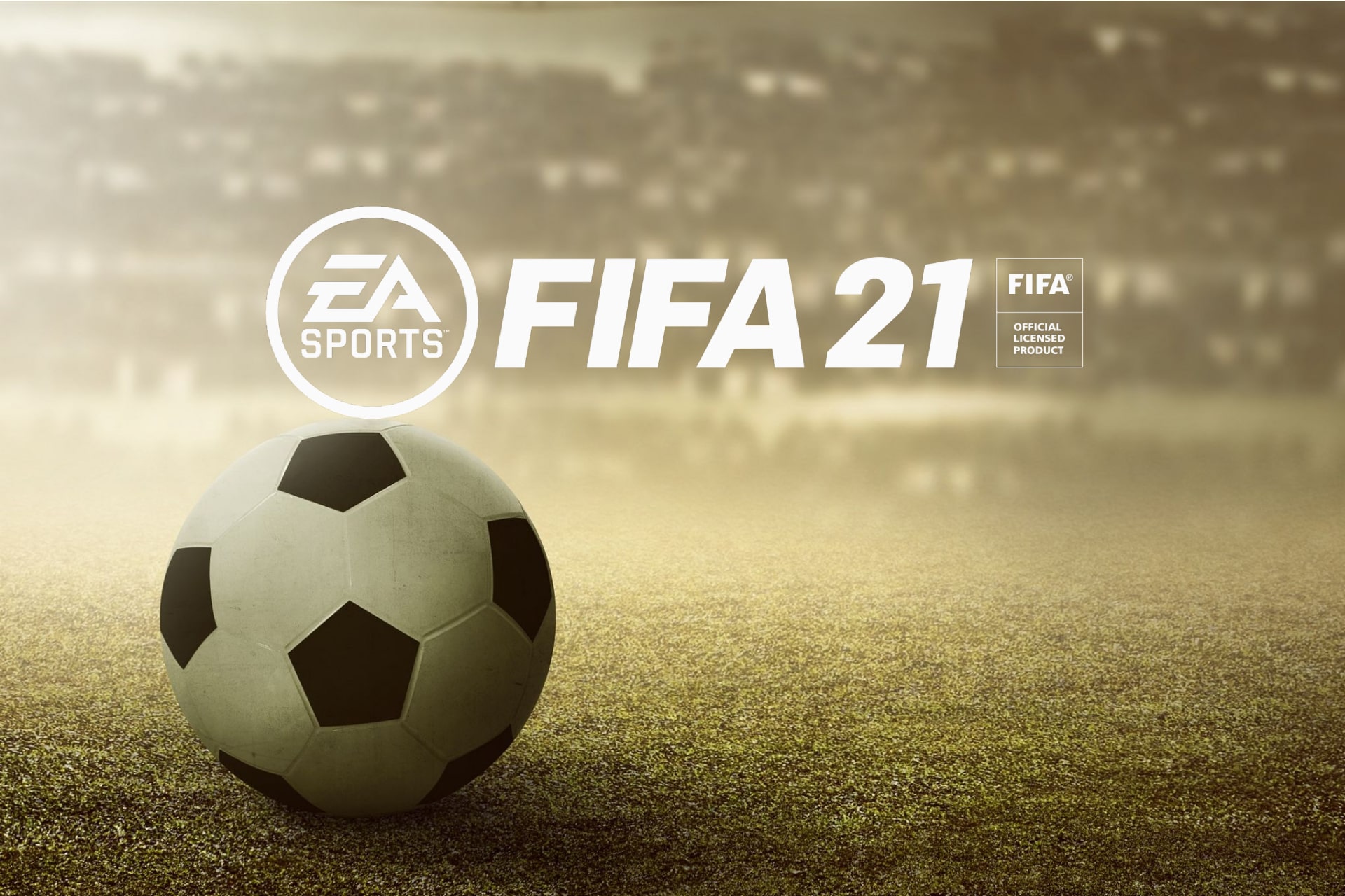 FIFA 21 lag solutions